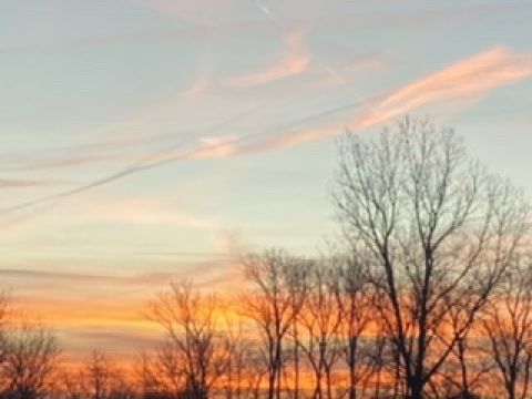 Winter Sunrise 🌅 picture!